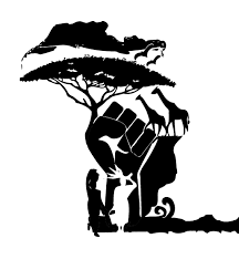 Africa climate justice collective